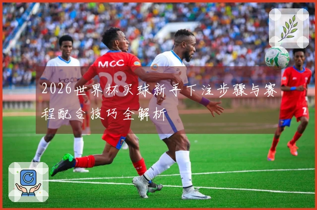 2026世界杯买球新手下注步骤与赛程配合技巧全解析