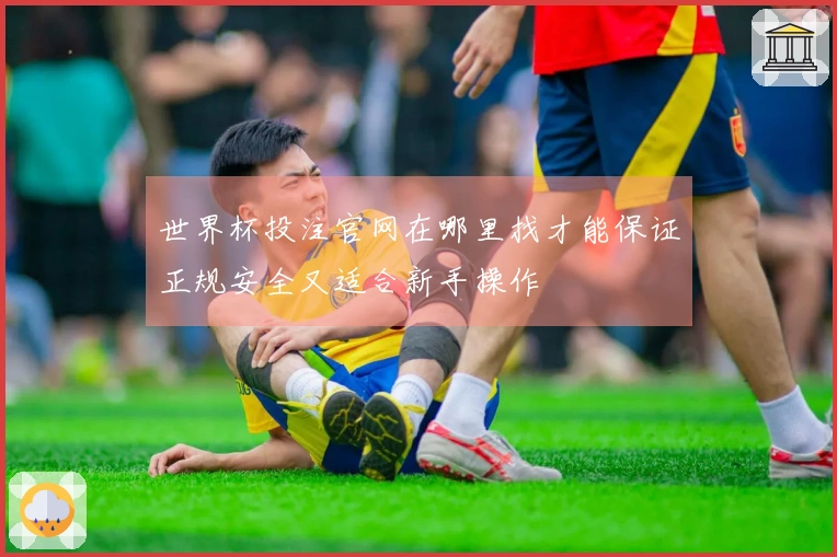 世界杯投注官网在哪里找才能保证正规安全又适合新手操作