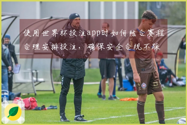 使用世界杯投注app时如何结合赛程合理安排投注,确保安全合规不踩坑